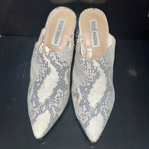 Snakeprint Block Heel Savina Mule by Steve Madden